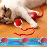 Gato brincando com a bola inteligente vermelha